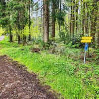 Wanderung Oberwarngau Taubenberg