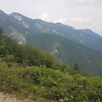 Gamsstein über Palfau