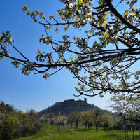 Burg Gleichen im Frühling