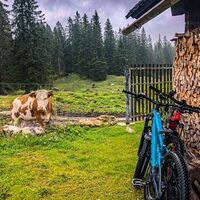 Plankensteinalm
