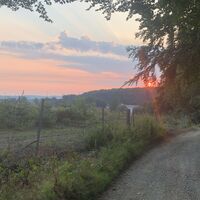 Morgensonne am Wanderweg