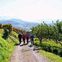 Auf den Vrtovče-Wegen