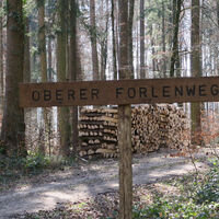 Wegweiser Oberer Forlenweg