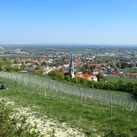 Blick auf Pfaffstetten