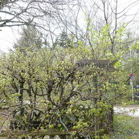 Richtung Buschgettl (halblinks weg)