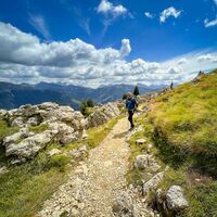 Almwiesen mit Pala Blick