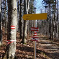 Abstieg Grüntalkogel