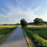 Schmetterlingsradweg