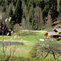 Trabochersee