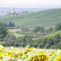 Deinenbachtal | Flein | HeilbronnerLand