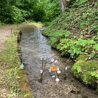 wasserraedchen-muehlebach