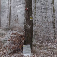 Rotes Kreuz weiter zum Pemexel