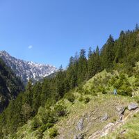 Weg zum Kuchelbergkopf