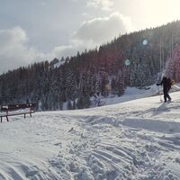 Tiefschnee auf der Wiese