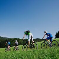 MTB in Gratkorn(c)bikeCULTure-grubernd