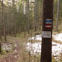 am Wiener Mariazeller Pilgerweg