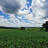 Aussicht von Hammerberg nach Süden