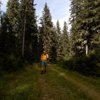 Feistritz am Kammersberg - Stolzalpe Murau