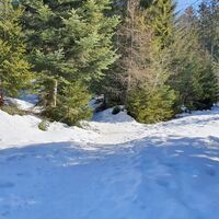 0.8 km 2. Wegquerung