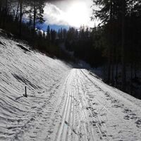 Streckenabschnitt auf der Loipe Fadental - Schnittlermoos