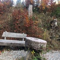 Montag, 21. Oktober 2019, 15:09 Uhr