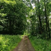 Richtung Hollenstein unterwegs am Wanderweg 1