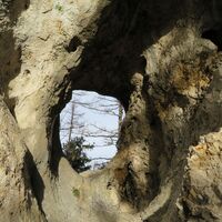 Breitenstein - Luckerte Wand - Prein a. d. Rax