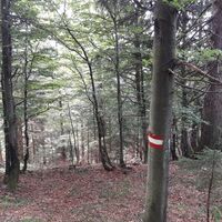 Almsteig