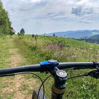 remschniggalm - wein, alm und mehr._img_53249549