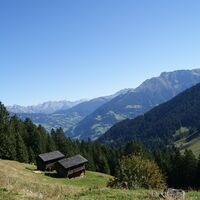 Maisäße auf Plazadels