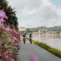Radfahren mit Blick auf Grein