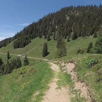 24.5 km Trail zw. Karsegg- und Unterwandalm