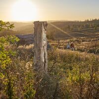 Sonnenuntergang auf dem Ochsenkopf zwischen Sundern und Arnsberg
