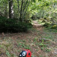 ARMONIA - Sinnlicher parcours &amp; Yoga