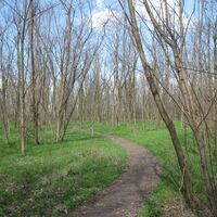 Nationalpark Donauauen