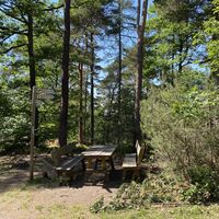 Rastplatz am Leininger Burgenweg