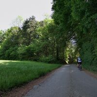 Radeln im Schatten