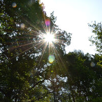 Lichtstimmung an der Emsquelle in Schloß Holte-Stukenbrock