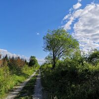 Hudeweg bei Brenkhausen