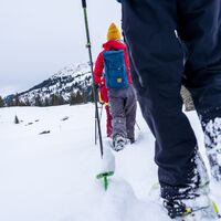 Rückweg Richtung Sellamatt