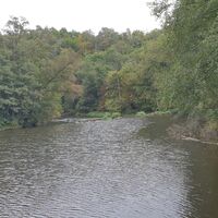 Thaya-Auen