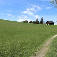 Blick zurück zum Reitinger