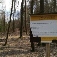 Von Breitenhain zum Wasserschloss Wolfersdorf