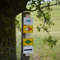 Das "Hegauer Kegelspiel"