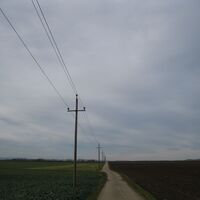 Fels - Absdorf