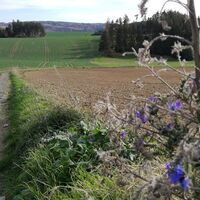 Von Grochwitz zur Talsperre Wisenta