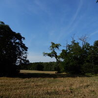 Lobau/Lobgrund - Groß Enzersdorf
