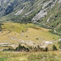 Blick aufs Torfmoor mit Schutzwall