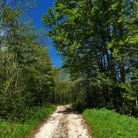 Wälder des Plateaus von Retord