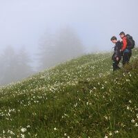 Opponitz Wandern